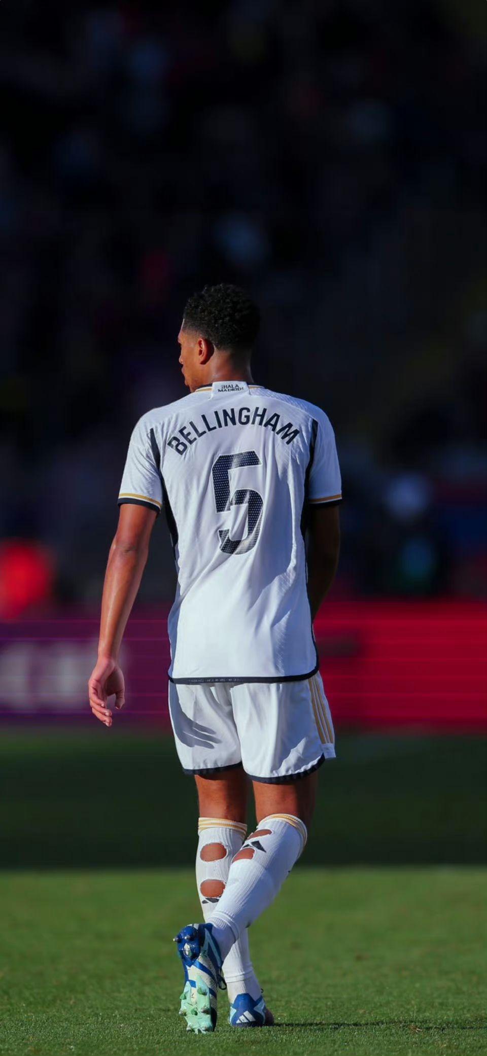 朱婷官宣续约科内利亚诺！继续效力意甲联赛，中国女排多人留洋（朱婷续约科内利亚诺官宣！继续征战意甲，中国女排多将留洋）